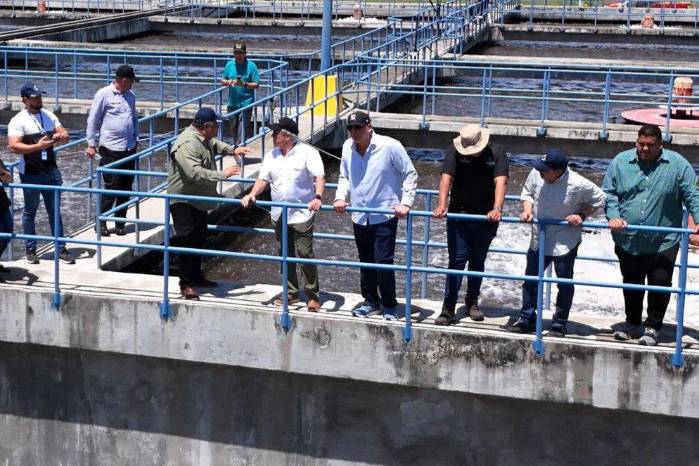 El Gobierno responsabilizó a las fincas porcinas en el área del río La Villa por contaminar el agua. El Gobierno responsabilizó a las fincas porcinas en el área del río La Villa por contaminar el agua.