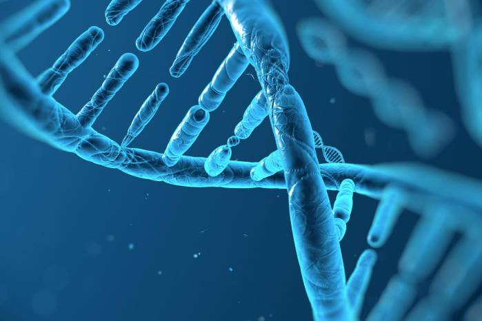 Existen entre 7.000 y 8.000 patologías consideradas raras. Existen entre 7.000 y 8.000 patologías consideradas raras.