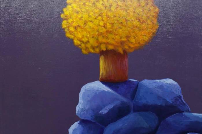 El guayacán, que florece debajo de las piedras. El guayacán, que florece debajo de las piedras.
