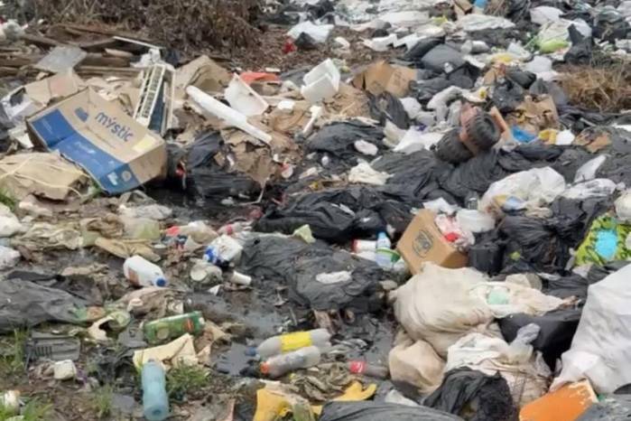 El vertedero municipal de Macaracas contiene desechos peligrosos, incluyendo residuos hospitalarios y restos de animales. El vertedero municipal de Macaracas contiene desechos peligrosos, incluyendo residuos hospitalarios y restos de animales.