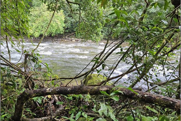 Nos acercamos al río, el agua canta y la temperatura refresca. Nos acercamos al río, el agua canta y la temperatura refresca.