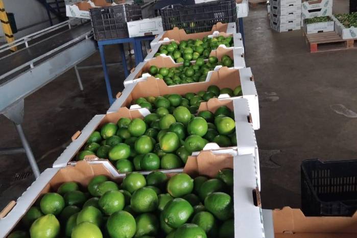 El Mida detalló que los productos tuvieron que pasar un extenso proceso de revisión antes de llegar a este mercado. El Mida detalló que los productos tuvieron que pasar un extenso proceso de revisión antes de llegar a este mercado.