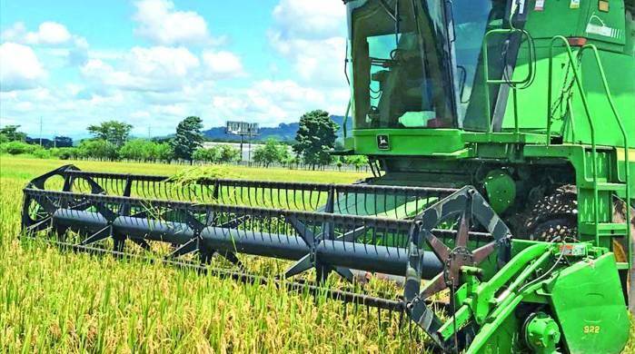 La deuda se eleva a 1.000 millones de dólares guyaneses (unos 4.8 millones de dólares estadounidenses). La deuda se eleva a 1.000 millones de dólares guyaneses (unos 4.8 millones de dólares estadounidenses).