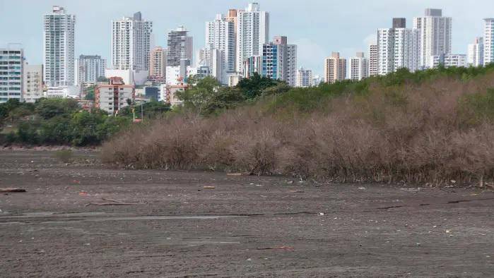 Así se encontraban los manglares en enero de 2024. Así se encontraban los manglares en enero de 2024.
