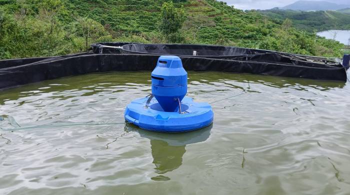 In Coclé, sustainable aquaculture is synonymous with food and development In Coclé, sustainable aquaculture is synonymous with food and development