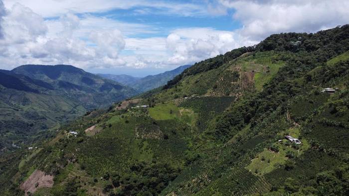 La bioeconomía te permite transformar los territoriosrurales en una fuente de ingresos, empleos y desarrollo. La bioeconomía te permite transformar los territoriosrurales en una fuente de ingresos, empleos y desarrollo.