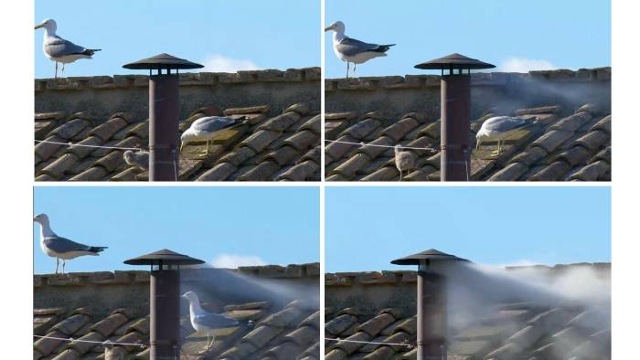 Combo de la secuencia de la salida del humo blanco por la chimenea. Los 133 cardenales que participan en el cónclave encerrados en la Capilla Sixtina vaticana han elegido este jueves un nuevo papa y lo han anunciado al mundo con la tradicional fumata blanca desde la chimenea. Combo de la secuencia de la salida del humo blanco por la chimenea. Los 133 cardenales que participan en el cónclave encerrados en la Capilla Sixtina vaticana han elegido este jueves un nuevo papa y lo han anunciado al mundo con la tradicional fumata blanca desde la chimenea.