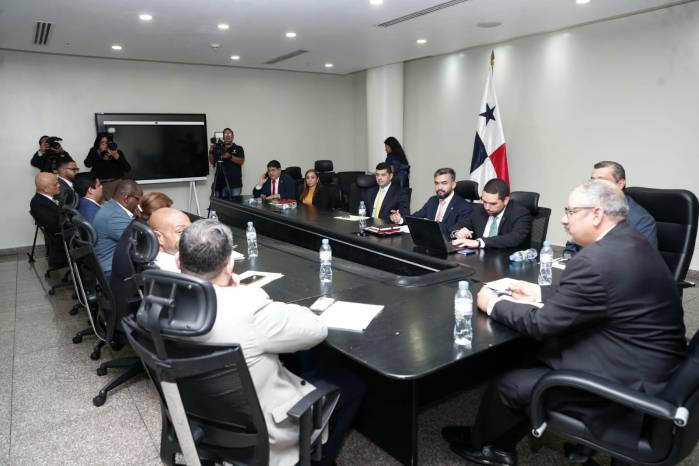 Son 15 las comisiones de trabajo de la Asamblea Nacional. Son 15 las comisiones de trabajo de la Asamblea Nacional.