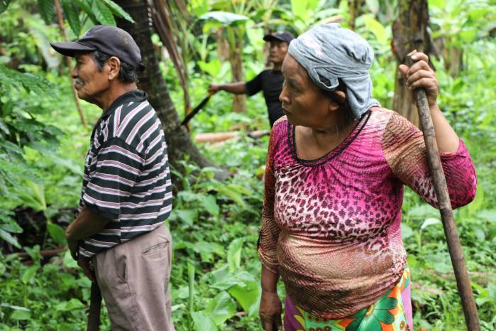 La comunidad Emberá de Pijibasal, en Darién, implementa técnicas agroforestales y huertos orgánicos para mejorar sus ingresos, fortalecer la educación agrícola y proteger el medio ambiente. La comunidad Emberá de Pijibasal, en Darién, implementa técnicas agroforestales y huertos orgánicos para mejorar sus ingresos, fortalecer la educación agrícola y proteger el medio ambiente.
