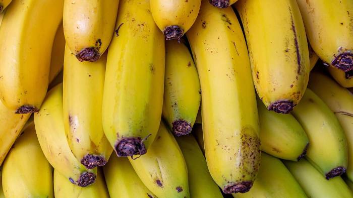 El banano es el rubro número uno de exportación del país. El banano es el rubro número uno de exportación del país.