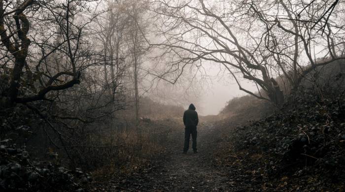 El cántico del poeta El cántico del poeta