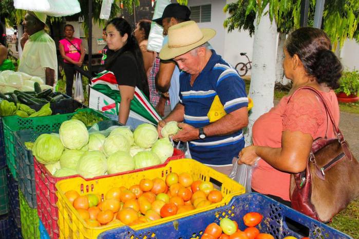 Agroferia realizada en el corregimiento de Ocú Cabecera, provincia de Herrera. Agroferia realizada en el corregimiento de Ocú Cabecera, provincia de Herrera.