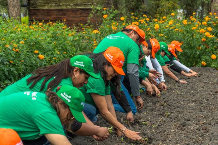 Fotografía del 18 de octubre de 2025 cedida por Iberdrola México que muestra a personas participando en una actividad durante la Semana Internacional del Voluntariado 2025 en Xochimilco (México). Fotografía del 18 de octubre de 2025 cedida por Iberdrola México que muestra a personas participando en una actividad durante la Semana Internacional del Voluntariado 2025 en Xochimilco (México).