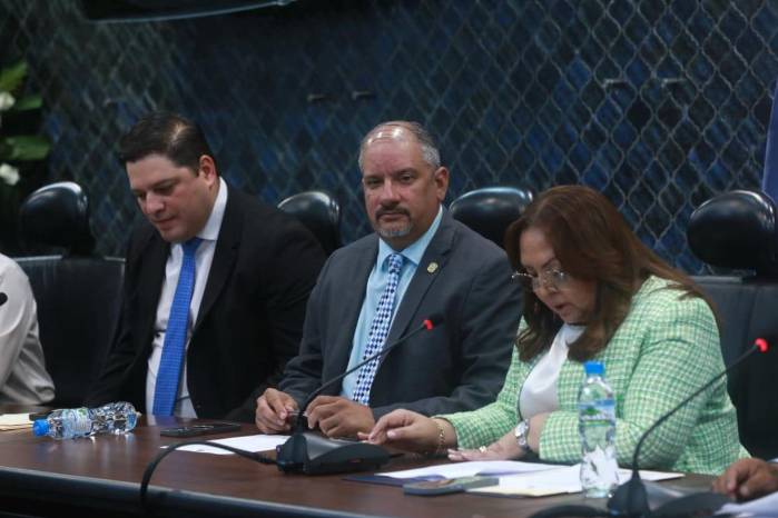 Dana Castañeda es elegida diputada presidenta de la Comisión de Credenciales. Dana Castañeda es elegida diputada presidenta de la Comisión de Credenciales.