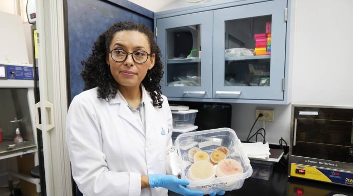 Doctora Gesabel Navarro, investigadora del Ciimet y profesora del Departamento de Microbiología Humana. Doctora Gesabel Navarro, investigadora del Ciimet y profesora del Departamento de Microbiología Humana.