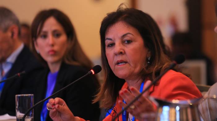 Claudia Thomaz, subsecretaria de administración aduanera de Brasil.