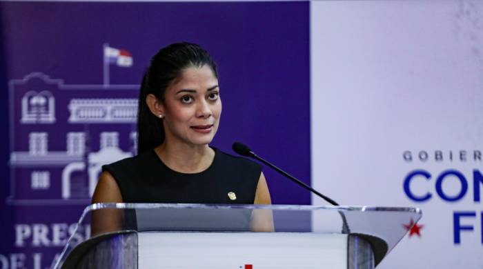 La vocera presidencial explicó cómo serán utilizados. La vocera presidencial explicó cómo serán utilizados.