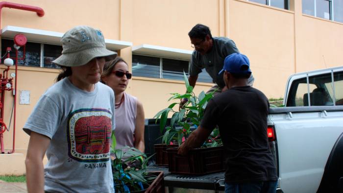 Transportar 600 plantas clonadas a través del Canal fue solo el inicio de un experimento de 12 años. Transportar 600 plantas clonadas a través del Canal fue solo el inicio de un experimento de 12 años.