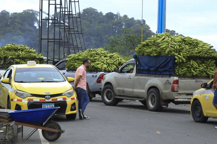 Fotografía del 25 de mayo de 2025 de varios vehículos cargados de bananos en medio del bloqueo de una carretera, en Changuinola, provincia caribeña de Bocas del Toro (Panamá). Fotografía del 25 de mayo de 2025 de varios vehículos cargados de bananos en medio del bloqueo de una carretera, en Changuinola, provincia caribeña de Bocas del Toro (Panamá).