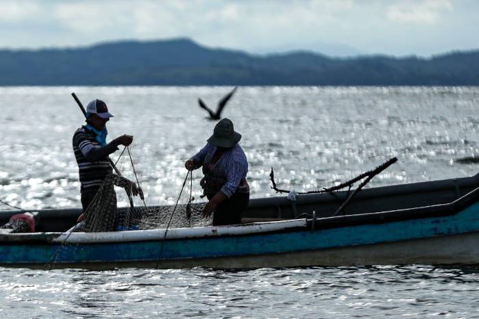 La pesca artesanal y comercial son las que más se desarrollan en aguas panameñas. La pesca artesanal y comercial son las que más se desarrollan en aguas panameñas.
