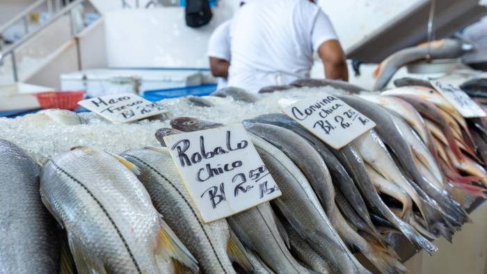 Las giras a los mercados de pueblos y ciudades se han convertido en un gran atractivo turístico. Las giras a los mercados de pueblos y ciudades se han convertido en un gran atractivo turístico.
