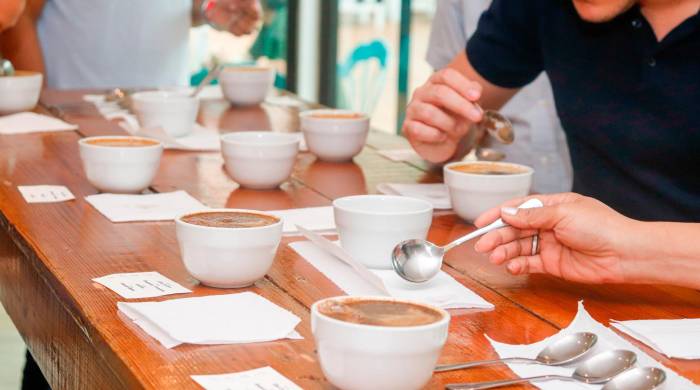 ’Territorio Café’ es una cita para los amantes del café. ’Territorio Café’ es una cita para los amantes del café.