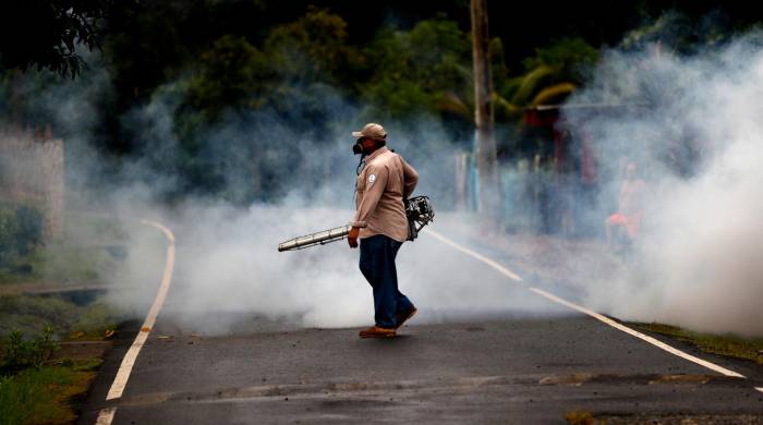 Tres nuevas defunciones por dengue elevan la preocupación en Panamá Tres nuevas defunciones por dengue elevan la preocupación en Panamá