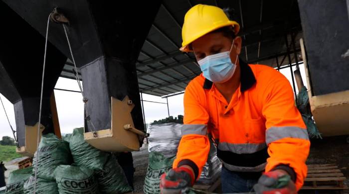 Durante 2018 y 2019 el sector de la construcción aportó el 17,8% y 17,4%, respectivamente, a la economía. Durante 2018 y 2019 el sector de la construcción aportó el 17,8% y 17,4%, respectivamente, a la economía.