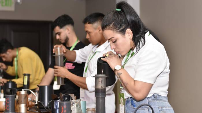 Los aficionados y expertos estarán en el lugar. Los aficionados y expertos estarán en el lugar.