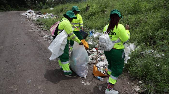 Un total de 4,152 casos de dengue se encuentran en Panamá Metro. Un total de 4,152 casos de dengue se encuentran en Panamá Metro.