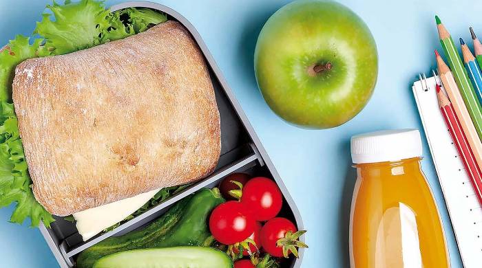 Loncheras saludables, ‘snacks’ llenos de vitamina, ‘proteína y antioxidantes Loncheras saludables, ‘snacks’ llenos de vitamina, ‘proteína y antioxidantes