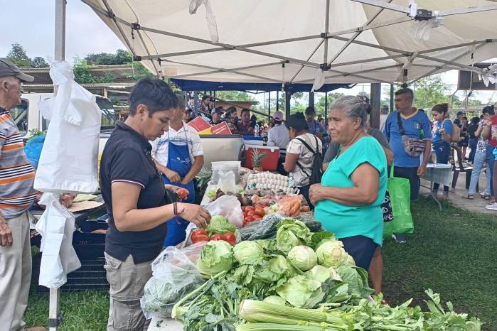 El IMA le recuerda a la ciudadanía llevar su cédula y bolsa reutilizable. El IMA le recuerda a la ciudadanía llevar su cédula y bolsa reutilizable.