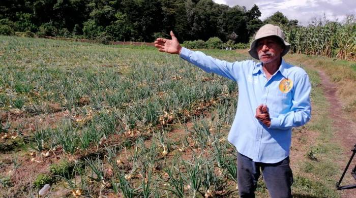 Los productores reclaman apoyo para el mejoramiento de la productividad, a la agrotecnología, acceso al crédito, a la educación agropecuaria, a la agricultura familiar, al aprovechamiento alimentario; pero adecuado al marco institucional del sector. Los productores reclaman apoyo para el mejoramiento de la productividad, a la agrotecnología, acceso al crédito, a la educación agropecuaria, a la agricultura familiar, al aprovechamiento alimentario; pero adecuado al marco institucional del sector.