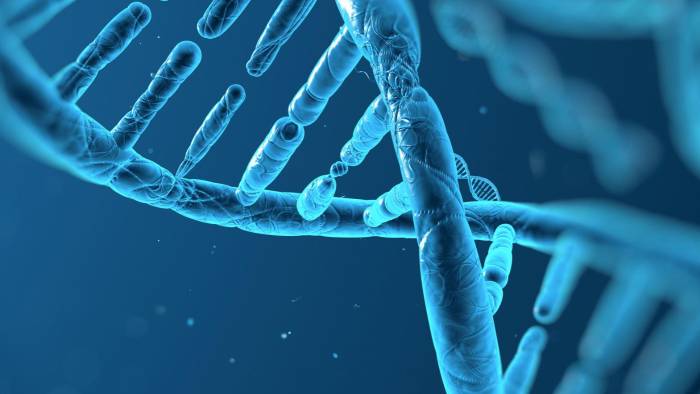 Existen entre 7.000 y 8.000 patologías consideradas raras. Existen entre 7.000 y 8.000 patologías consideradas raras.