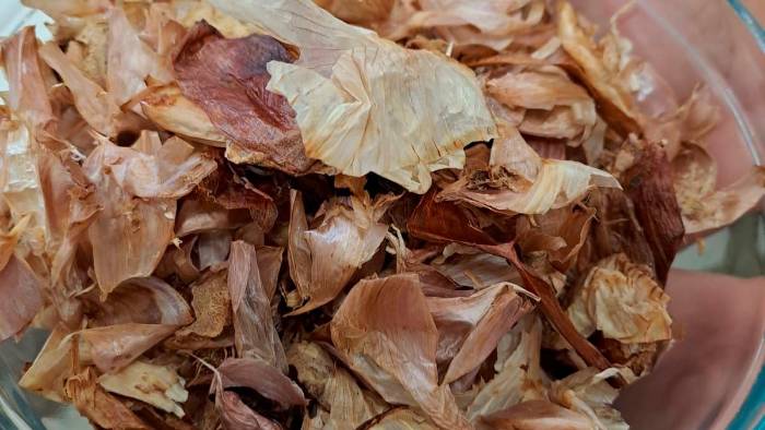 Cáscaras de cebolla y ajo, luego de ser horneadas y trituradas, sirven como condimento natural. Cáscaras de cebolla y ajo, luego de ser horneadas y trituradas, sirven como condimento natural.