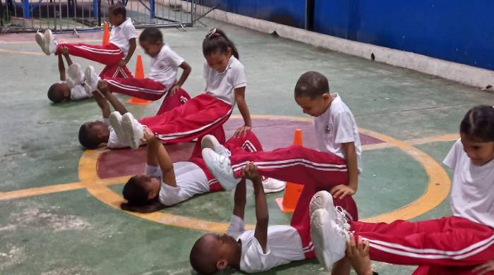 El deporte escolar, actor importante para la creación de semilleros, no tiene hoy una dirección definida. El deporte escolar, actor importante para la creación de semilleros, no tiene hoy una dirección definida.