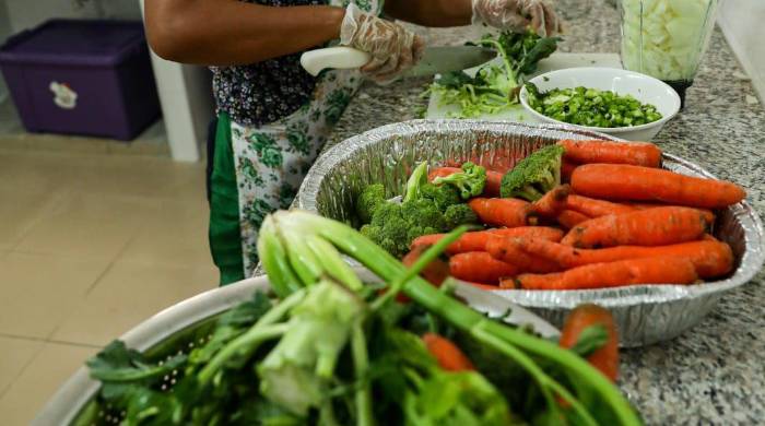 El menú es confeccionado por nutricionistas-dietistas. El menú es confeccionado por nutricionistas-dietistas.