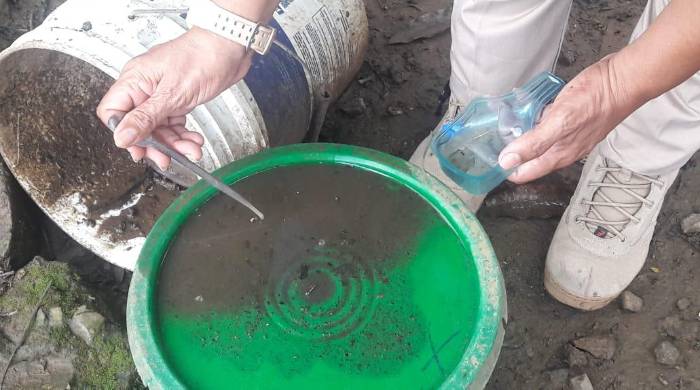 El informe epidemiológico del Minsa reportó que el corregimiento de Las Garzas hay 678 casos por dengue. El informe epidemiológico del Minsa reportó que el corregimiento de Las Garzas hay 678 casos por dengue.