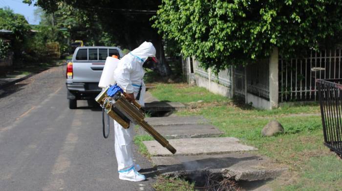 Los casos de dengue sin signo de alarma sumaban 2.856; los casos de la enfermedad con signos de alarma llegaban a 343.