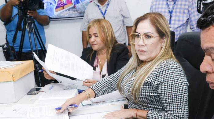 La diputada Shirley Castañeda explicó que en la revisión de los documentos, están verificando que los aspirantes cumplan con los requisitos que establece la ley. La diputada Shirley Castañeda explicó que en la revisión de los documentos, están verificando que los aspirantes cumplan con los requisitos que establece la ley.