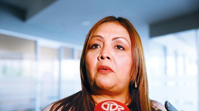 La diputada Dana Castañeda, del partido Realizando Metas (RM). La diputada Dana Castañeda, del partido Realizando Metas (RM).