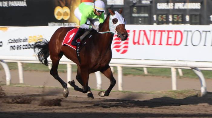 El colorado nacional ‘The Rose King’ será la carta brava brava a batir en la carrera estelar de la cartilla. El colorado nacional ‘The Rose King’ será la carta brava brava a batir en la carrera estelar de la cartilla.