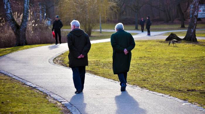 En la tercera edad factores como el vocabulario y la comprensión de los factores causa-consecuencia llegan a su tope. En la tercera edad factores como el vocabulario y la comprensión de los factores causa-consecuencia llegan a su tope.