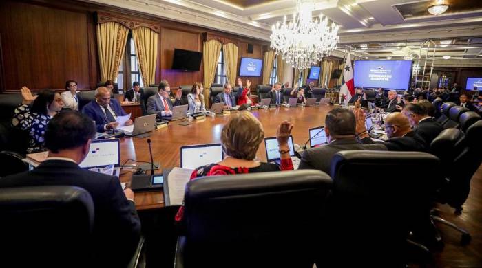 La decisión incluye además, la realización de una auditoría ambiental de cierre, a fin de identificar la situación ambiental de la mina, los riesgos ambientales y sus medidas de mitigación. La decisión incluye además, la realización de una auditoría ambiental de cierre, a fin de identificar la situación ambiental de la mina, los riesgos ambientales y sus medidas de mitigación.