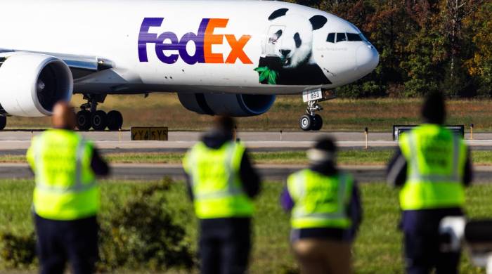 Bao Li y Qing Bao, cuyos nombres significan “vigor precioso” y “tesoro verde”, respectivamente, llegaron a Washington como parte de un nuevo acuerdo de 10 años con las autoridades chinas Bao Li y Qing Bao, cuyos nombres significan “vigor precioso” y “tesoro verde”, respectivamente, llegaron a Washington como parte de un nuevo acuerdo de 10 años con las autoridades chinas