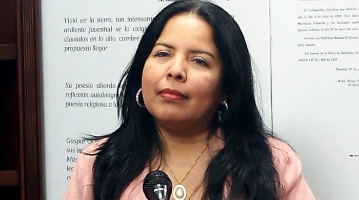 Ana Patiño, asesora económica de Conato. Ana Patiño, asesora económica de Conato.
