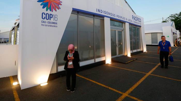 Fotografía general de la Zona Azul de la COP16, al atardecer del 26 de octubre de 2024, en Cali (Colombia). Fotografía general de la Zona Azul de la COP16, al atardecer del 26 de octubre de 2024, en Cali (Colombia).