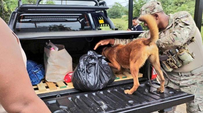 En Panamá se debería desarrollar una estrategia de seguridad ciudadana.