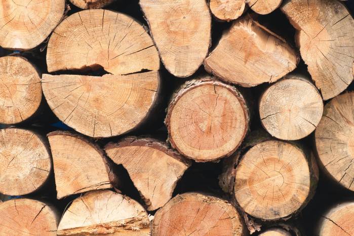 En 2024, Panamá exportó 6.500 contenedores de madera al mercado internacional. En 2024, Panamá exportó 6.500 contenedores de madera al mercado internacional.