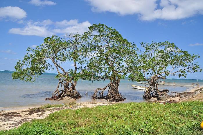Imagen ilustrativa de las costas pacificas de Honduras. Imagen ilustrativa de las costas pacificas de Honduras.